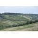 Properties for Sale_Farmhouses to restore_FARMHOUSE TO BE RENOVATED WITH LAND FOR SALE IN LAPEDONA, SURROUNDED BY SWEET HILLS IN THE MARCHE province in the province of Fermo in the Marche region in Italy in Le Marche_21